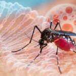 233 Kasus DBD di Pondok Aren Terbanyak di Awal 2025